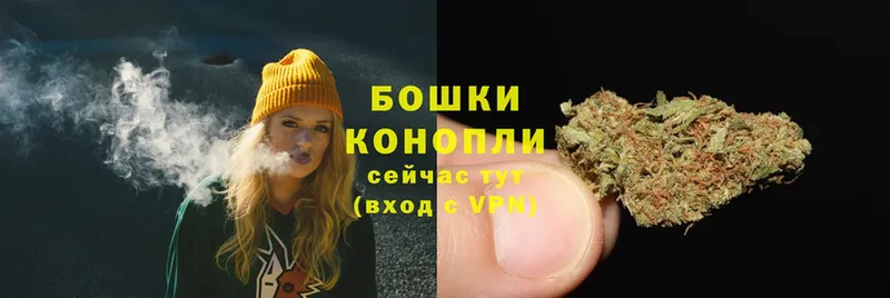 купить   Ревда  МАРИХУАНА OG Kush 